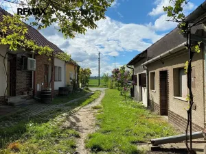 Prodej vinného sklepa, Mikulčice, 84 m2