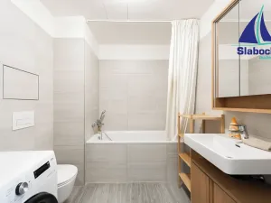 Pronájem bytu 1+kk, Praha - Karlín, Breitfeldova, 45 m2