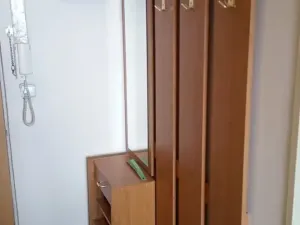 Pronájem bytu 1+kk, Brno, Zikova, 33 m2