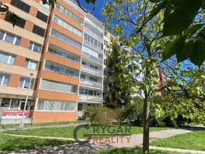 Prodej bytu 2+kk, Praha - Braník, Novodvorská, 43 m2