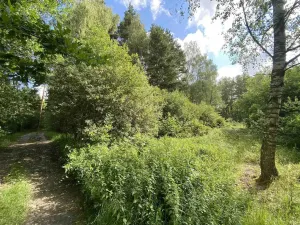 Prodej louky, Trhové Sviny - Otěvěk, 10951 m2