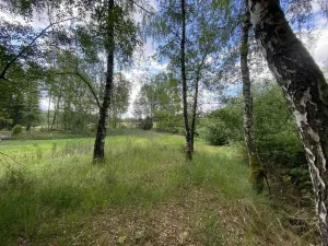 Prodej louky, Trhové Sviny - Otěvěk, 10951 m2