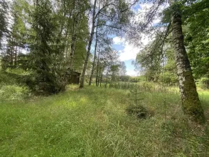 Prodej louky, Trhové Sviny - Otěvěk, 10951 m2