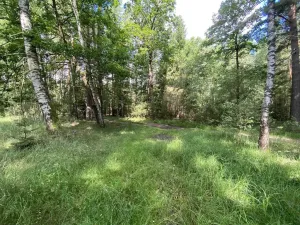 Prodej louky, Trhové Sviny - Otěvěk, 10951 m2