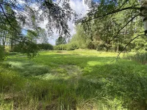 Prodej louky, Trhové Sviny - Otěvěk, 10951 m2