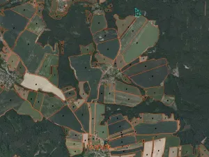Prodej louky, Trhové Sviny - Otěvěk, 10951 m2