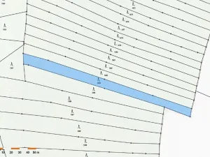 Prodej lesa, Mladoňovice, 2261 m2