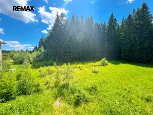 Prodej činžovního domu, Vimperk, 4000 m2