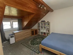 Prodej vícegeneračního domu, Duchcov, Tyršova, 320 m2