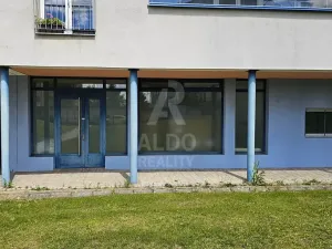 Prodej obchodního prostoru, České Budějovice, Větrná, 63 m2