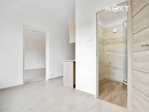 Pronájem bytu 2+1, Žatec, Družstevní, 67 m2