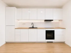 Prodej bytu 3+kk, Plzeň, Klostermannova, 53 m2