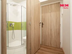 Pronájem bytu 1+kk, Ostrava - Poruba, 27 m2