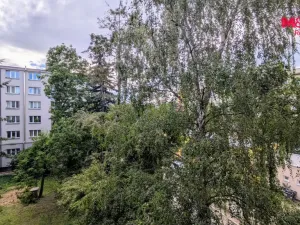 Pronájem bytu 1+kk, Praha - Vršovice, Kubánské náměstí, 19 m2
