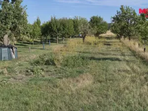 Prodej zahrady, Mikulčice - Těšice, 636 m2