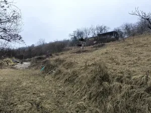 Prodej zahrady, Žalhostice, 4185 m2