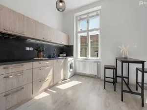 Pronájem bytu 1+kk, Brno, Štefánikova, 27 m2