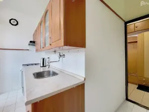 Prodej bytu 2+1, Brno, Došlíkova, 52 m2