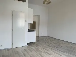 Pronájem bytu 1+kk, Praha - Vršovice, Orelská, 31 m2