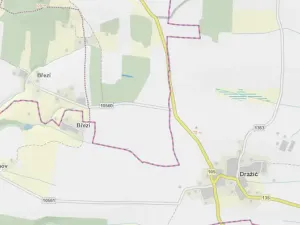 Prodej lesa, Slabčice - Nemějice, 1004 m2