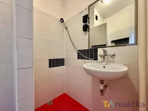Pronájem bytu 1+kk, Havířov, Družstevnická, 24 m2