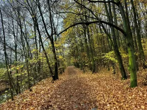 Pronájem bytu 3+kk, Praha, Mezitraťová, 110 m2