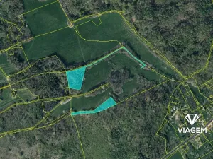 Prodej podílu lesa, Veselé, 5410 m2