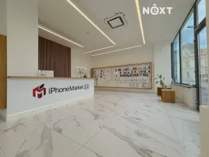 Pronájem obchodního prostoru, Prostějov, Svatoplukova, 106 m2
