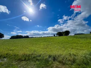 Prodej pozemku pro bydlení, Kostelec nad Černými lesy - Kostelec nad Černými Lesy, 16025 m2