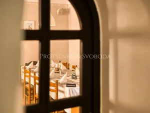 Prodej činžovního domu, Lhenice, Krumlovská, 535 m2