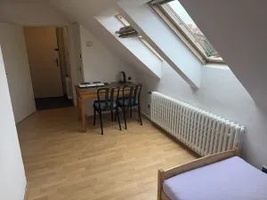 Pronájem bytu 1+kk, Praha - Dejvice, Na Hanspaulce, 22 m2
