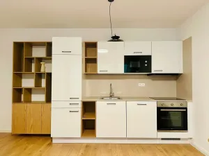 Pronájem bytu 2+kk, Praha - Vinohrady, Varšavská, 56 m2