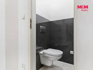 Prodej bytu 2+kk, Praha - Žižkov, Bořivojova, 54 m2