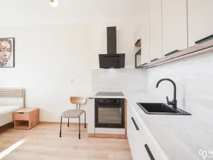 Pronájem bytu 1+kk, Olomouc, Horní lán, 24 m2