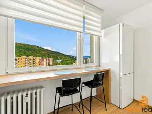 Prodej bytu 1+1, Ústí nad Labem, Jizerská, 42 m2