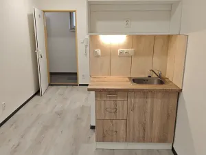 Pronájem bytu 1+kk, Praha - Hlubočepy, Na Zlíchově, 18 m2