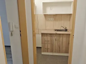 Pronájem bytu 1+kk, Praha - Hlubočepy, Na Zlíchově, 18 m2
