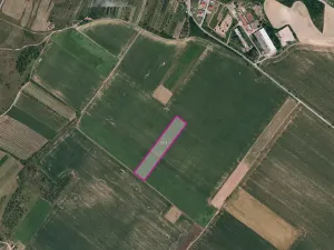 Prodej pole, Znojmo, 5390 m2