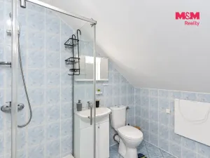 Prodej rodinného domu, Město Albrechtice - Linhartovy, 300 m2