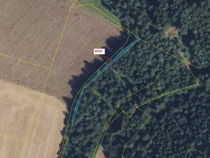Dražba lesa, Bělá nad Svitavou, 327 m2