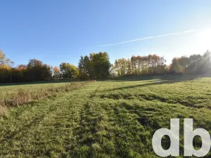 Prodej pozemku pro bydlení, Nová Role, 43224 m2