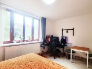 Pronájem bytu 1+kk, Brno, Gallašova, 28 m2