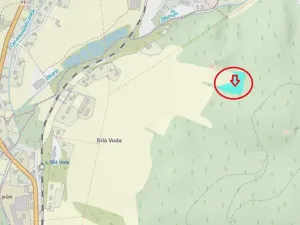 Prodej podílu lesa, Červená Voda, 5759 m2