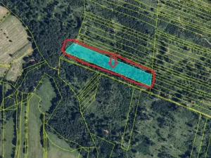 Prodej podílu lesa, Nová Hradečná, 6798 m2
