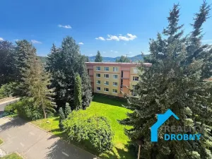 Pronájem bytu 1+kk, Děčín, Slovanská, 22 m2