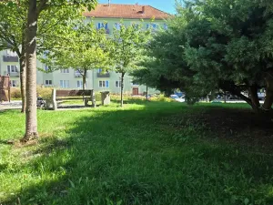 Prodej bytu 2+1, Kynšperk nad Ohří, náměstí SNP, 55 m2