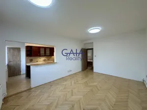 Pronájem bytu 3+1, Louka, 66 m2