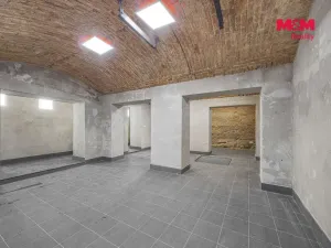 Pronájem komerční nemovitosti, Praha, Seifertova, 100 m2