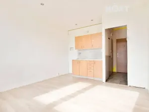 Pronájem bytu 1+kk, Žatec, Ostrov, 20 m2