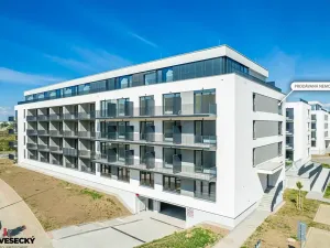 Prodej bytu 1+kk, Plzeň, Železná, 34 m2